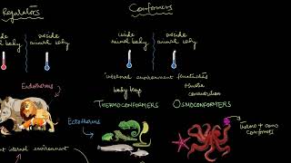 Responses to abiotic factors  Organisms and Populations  Biology  Khan Academy [upl. by Aiuqram]