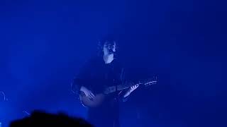 Tamino  The First Disciple live  Amsterdam NL 2022 [upl. by Yecad]