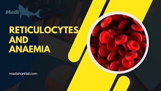 Significance of Reticulocytes count in the evaluation of Anaemia Dr Murtoza Shahriar [upl. by Nnylav881]