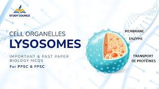 LYSOSOMES Cell Organelle MCQs for Lecturer Biology PPSC amp FPSC [upl. by Liebowitz]