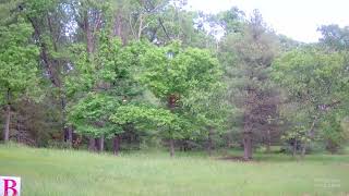 North Central Regional Sporting Clays Championship Beretta Preliminary 05312024 Woods amp Meadow [upl. by Odinevneib]