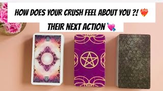 Pick A Card 💞How does your CRUSH feel about you Their next action❤️ tarotlovereading pickacard [upl. by Attenaj522]