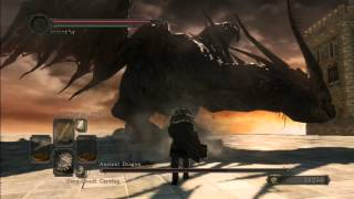 Dark Souls 2  Ancient Dragon  NG Bare Fists only beatdown [upl. by Jobey]