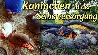 Kaninchen in der Selbstversorgung Felle Fleisch Haltung und Rezepte [upl. by Acirderf]