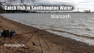 Catch Fish in Southampton Water WARSASH [upl. by Navak]