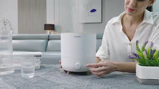 Best Humidifiers for 2023 [upl. by Yrdua]