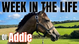 WEEK IN THE LIFE OF ADDIE [upl. by Mordecai]