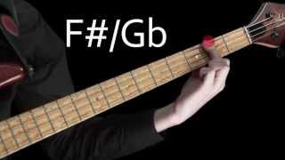 Learn Bass  Learning the notes of the fretboard [upl. by Juliann772]