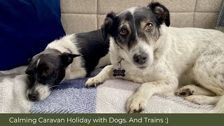 Calm Caravan Holiday with Dogs And Trains  Part 1  Tamworth amp Statfold [upl. by Ahtram]