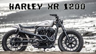 HARLEY DAVIDSON XR 1200 custom [upl. by Adeirf]