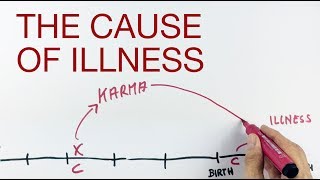 THE CAUSE OF ILLNESS explained by Hans Wilhelm [upl. by Frannie]