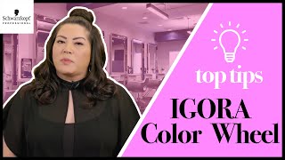 Breaking Down The Igora Royal Color Chart  Boothcamp Top Tips  Schwarzkopf USA [upl. by Karub]