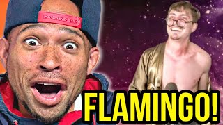 IM A FLAMINGO LIVE Marc Rebillet REACTION [upl. by Onitsoga]