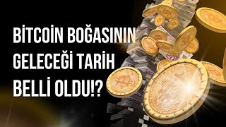 Bitcoin Boğası Ne Zaman Gelecek Halving Sonrası Uzmanlar Tarihi Açıkladı [upl. by Irrabaj]