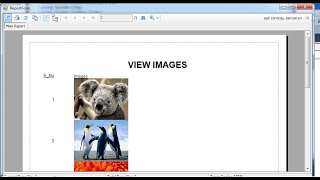 C Copy image to Database After View Picturebox and crystalreports Part II [upl. by Gwenneth]