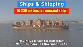 MSC Nitya B sails towards Rotterdam from Felixstowe Thursday 14 November 2024 [upl. by Aklog]