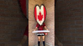 Rice art behind the scenes process Canada 🇨🇦 ❤️ canada love timelapse [upl. by Enilec582]