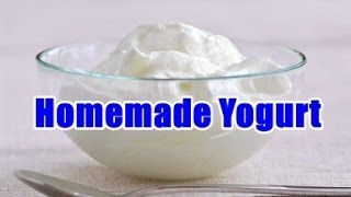 How to Make Yogurt at Home  2 Ways [upl. by Brocklin]