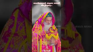 Agnimayanmar Aare  അഗ്നിമയമാർ ആരെ  Roji Ponnachan  Malankara Orthodox Syrian Church Song [upl. by Antoinetta]