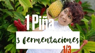 1 piña 3 fermentaciones facilisimas y ultra deliciosas [upl. by Akived]