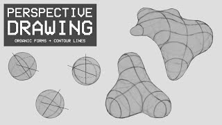 Perspective Drawing 21  Organic Forms and Contour Lines [upl. by Aynekat]