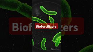 Biofertilizers science microbes bacteria Bluegreenalgae fungi vermicompost [upl. by Tireb]