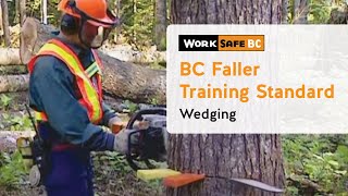 BC Faller Training Standard  Wedging 9 of 17 [upl. by Nirel]