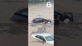 Man rescues amputee motorist and dog stranded in Connecticut flash flooding [upl. by Kroll990]