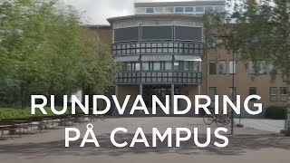 Campus i Umeå [upl. by Zwiebel]