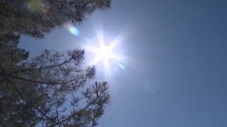 Pedernales Falls State Park conducts heatrelated rescues as temperatures continues to rise [upl. by Fawcett]