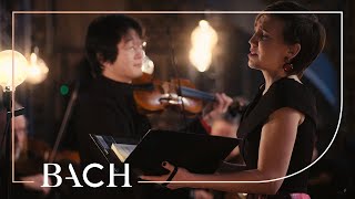 Bach  Jauchzet frohlocket from Christmas Oratorio BWV 248  Sato  Netherlands Bach Society [upl. by Jeana995]