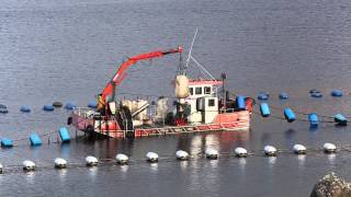 Mussel farming in Killary Harbour [upl. by Mauer]