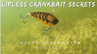 Lipless Crankbait fishing  Insane Underwater Footage [upl. by Eihtur415]