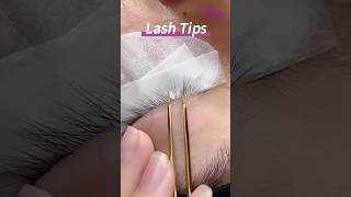 Lash tips for beginners 🤩 lashes lashextensions lashing lashextentions lashartist [upl. by Mairim]