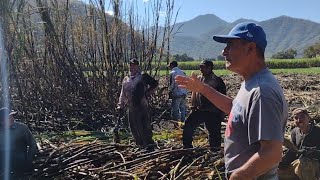 Se Aprobó el Aumento ahora será 110 por macho gracias al comisariado Ejidal [upl. by Goerke313]