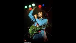 Bob Marley 19780605 Live At The Spectrum Philadelphia [upl. by Ellimahs]