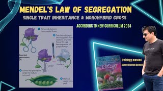 Mendelian genetics II  Law of Segregation amp Monohybrid cross  Bio Grade 11  Urdu Hindi English [upl. by Janik]