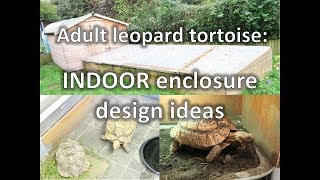 Adult Leopard Tortoises INDOOR enclosure design ideas  happytortoises [upl. by Ainatnas]