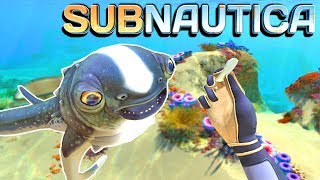 GETTING A PET CUDDLEFISH IN Subnautica Best Survival Game of 2017 [upl. by Orsini]