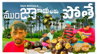 RAJU BEDIGALA రాజు ముంజకాయలకు పోతే  ULTIMATE VILLAGE COMEDY  RAJU BEDIGALA [upl. by Wertheimer]