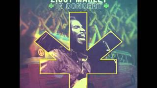 Ziggy Marley  quotTrue To Myselfquot  Ziggy Marley In Concert [upl. by Athallia]