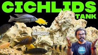 Easy Cichlid Tank Setup Guide Beginners Aquarium Tutorial [upl. by Ianaj]