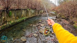 Fly Fishing 4 CRAZY Creeks in 1 Afternoon Trout Fishing [upl. by Spiegel]