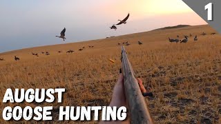 North Dakota Early Season Opening Day  Goose Hunting 2021 [upl. by Ardnosal]