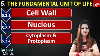 Fundamental Unit of Life  Cell WallNucleus  Cytoplasm amp Protoplasm  Chapter 5 Class 9th Science [upl. by Sunderland]