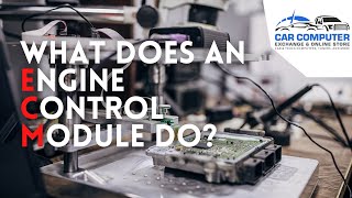 What Does an Engine Control Module ECM Do [upl. by Amara459]