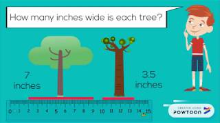 Teach Measurement Estimate amp Measure Length Width Height [upl. by Shina]