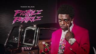 Kodak Black  STAY Official Visualizer [upl. by Ahsieuqal918]