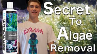 Secret to Remove Any Algae Bacter CleanM Continuum Aquatics [upl. by Winston]