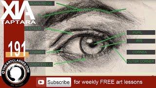 How to draw eyes structure and anatomy [upl. by Nur728]